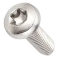 2-56 X 1/4 TORX BUTTON CAP 18-8 SS